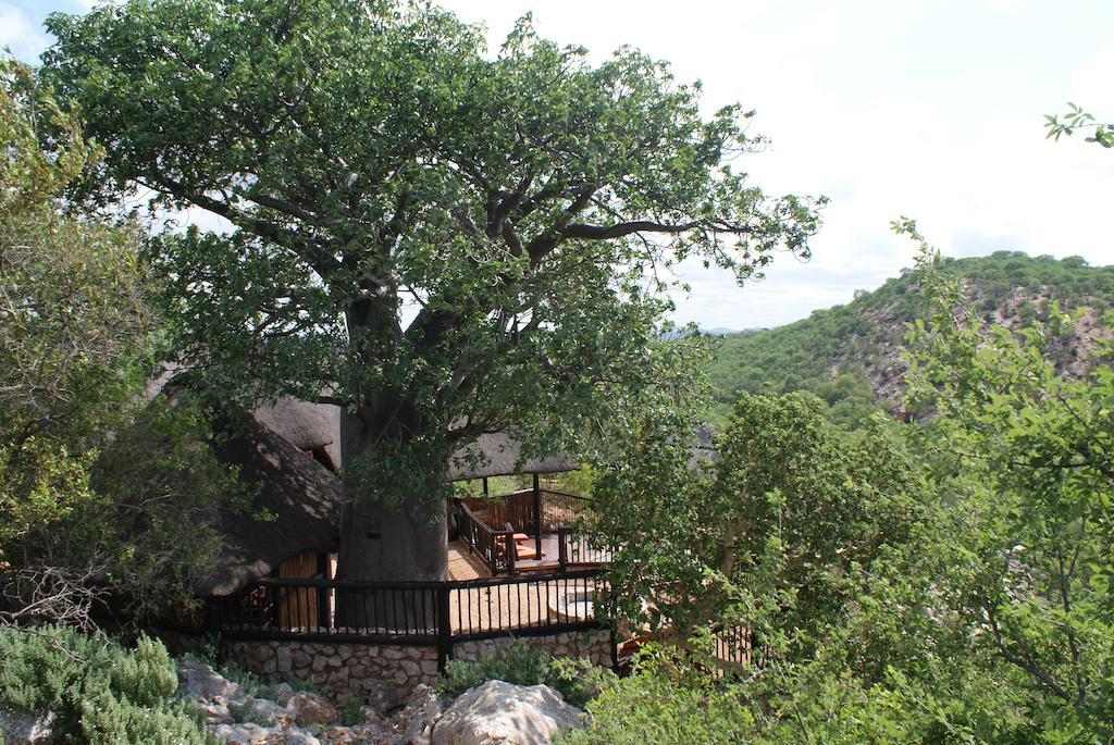 Adansonia Eco Lodge Musina Εξωτερικό φωτογραφία
