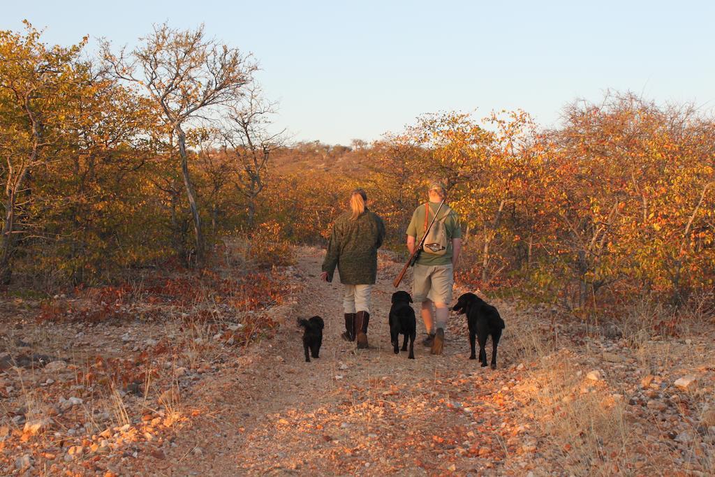 Adansonia Eco Lodge Musina Εξωτερικό φωτογραφία