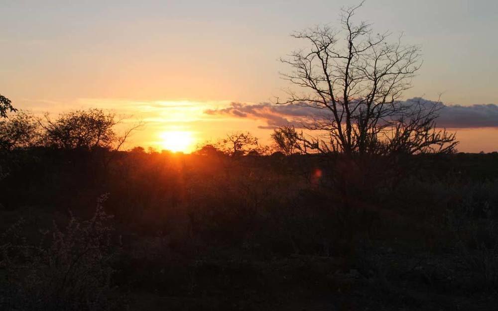 Adansonia Eco Lodge Musina Εξωτερικό φωτογραφία