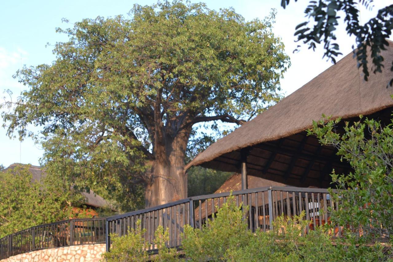 Adansonia Eco Lodge Musina Εξωτερικό φωτογραφία